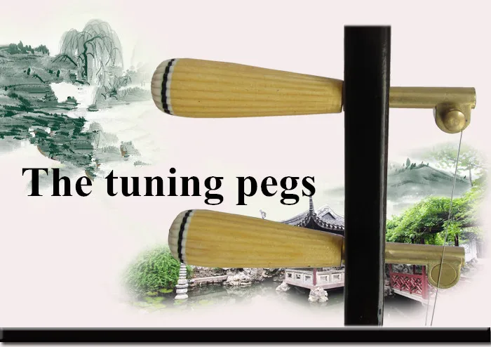 Китайский Erhu профессиональный эрху новейшие технологии высокое качество erhu Струнные инструменты с канифолью запасные струны лук книга