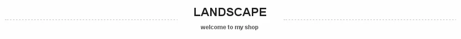 dianxiaobao