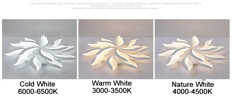 8698991849_2024459643