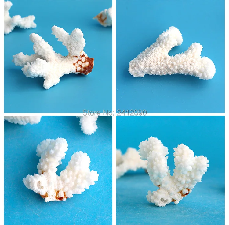 250g White Coral Reef Pond Fishbowl Fish Tank Aquarium Landscape