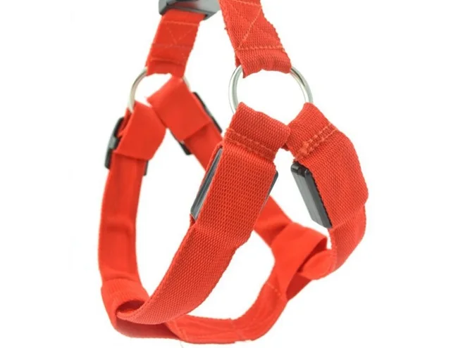 Best Verlichte Halsband Hond Contemporary - Huis & Interieur Ideeën ... Best Verlichte Halsband Hond Contemporary - Huis & Interieur Ideeën ...