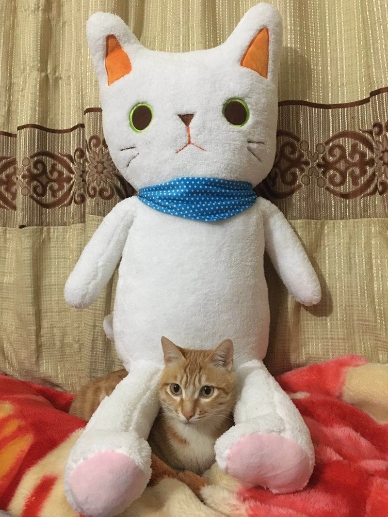 Dorimytrader Quality Kawaii Animals Cat Plush Toys Soft Cuddly Black and White Cats Doll for Kids and Adults Gift 31inch 80cm DY50229(15)