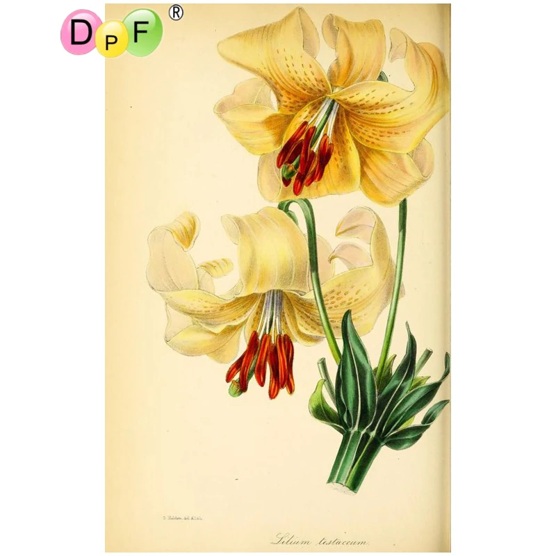 DPF DIY Gift 5D full Round Diamond Painting Withering Flowers Embroidery Magic Cube Cross Stitch crafts Mosaic Art Decor | Дом и сад