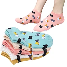 3 пары, новинка, милые женские хлопковые носки с рисунком кота, тонкие, невидимые неглубокие, короткие носки без пятки, весна-лето, Meias