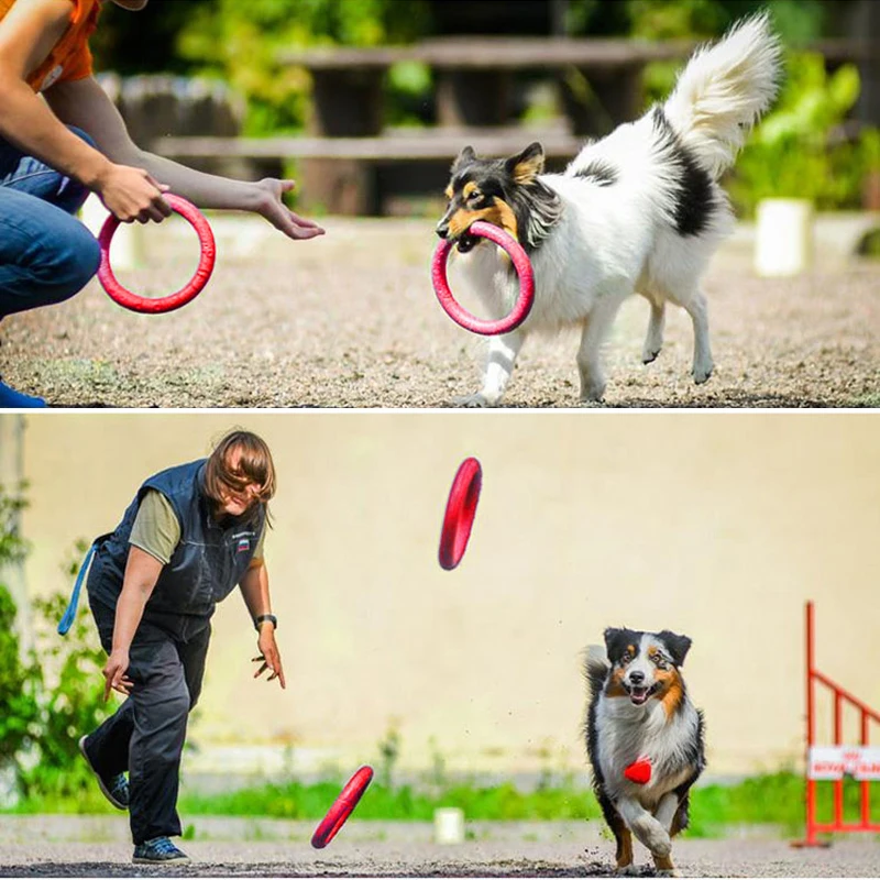 الكلب تحلق أقراص الحيوانات الأليفة دائري الشكل إيفا لعبة مضغة العض الأسنان نظيفة العائمة مضغ لعبة جرو مضحك لعب التدريب لوازم الكلب تحلق أقراص الحيوانات الأليفة دائري الشكل إيفا لعبة مضغة العض الأسنان نظيفة العائمة مضغ لعبة جرو مضحك لعب التدريب لوازم