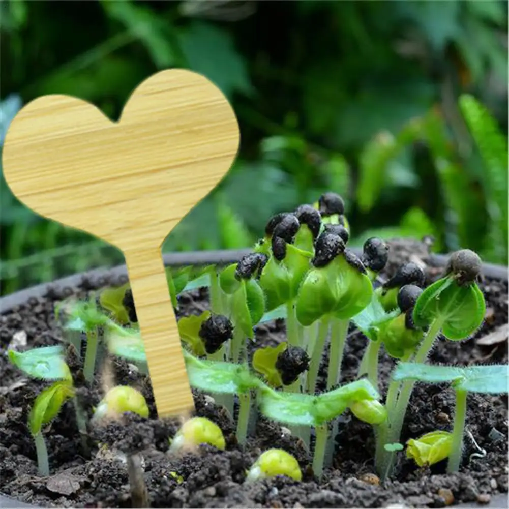 

50PCS/Set Plant Labels Flower Card Succulent Label Cards Landscape Signboard Nameplate Carved Bamboo Wood Sign Tags