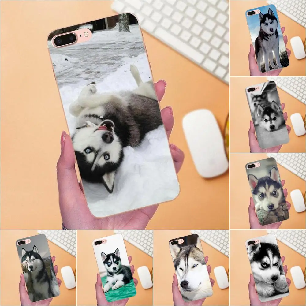 Мягкий художественный чехол для Xiaomi Redmi Note 2 3 3S 4 4A 4X 5 5A 6 6A Pro Plus Husky Dog