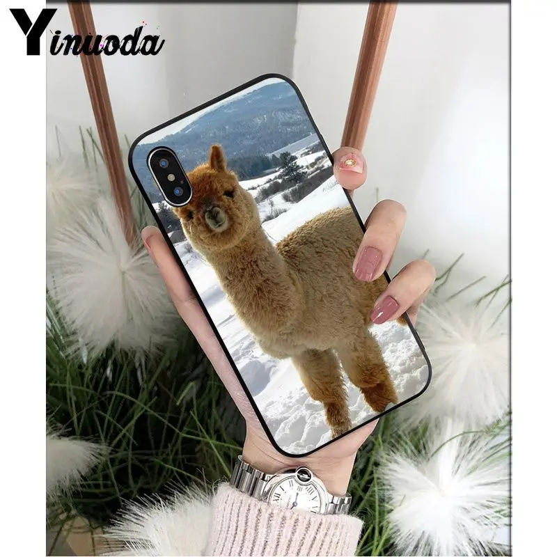 Yinuoda лама Alpacas животное умный чехол черный мягкий чехол для телефона для iPhone X XS MAX 6 6S 7 7plus 8 8Plus 5 5S XR