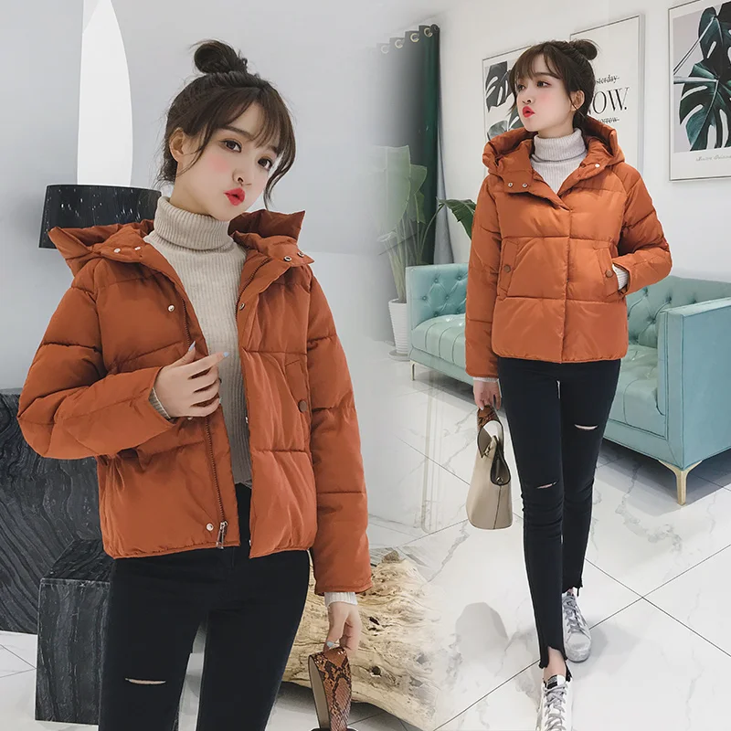inverno curto algodão acolchoado casaco feminino outono cor inverno parka gola