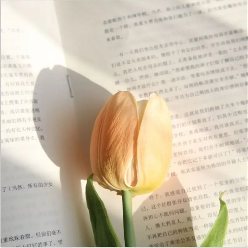 06_