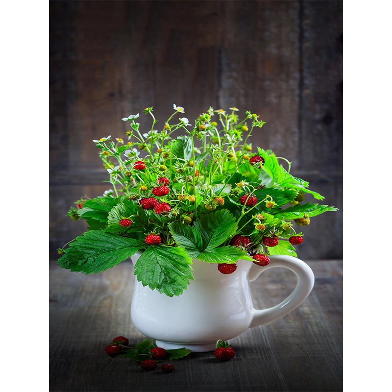 

Diy Diamond Mosaic Rhinestone Bird Diamond Square Full Embroidered Diamond Crystal Point Landscap Green plant