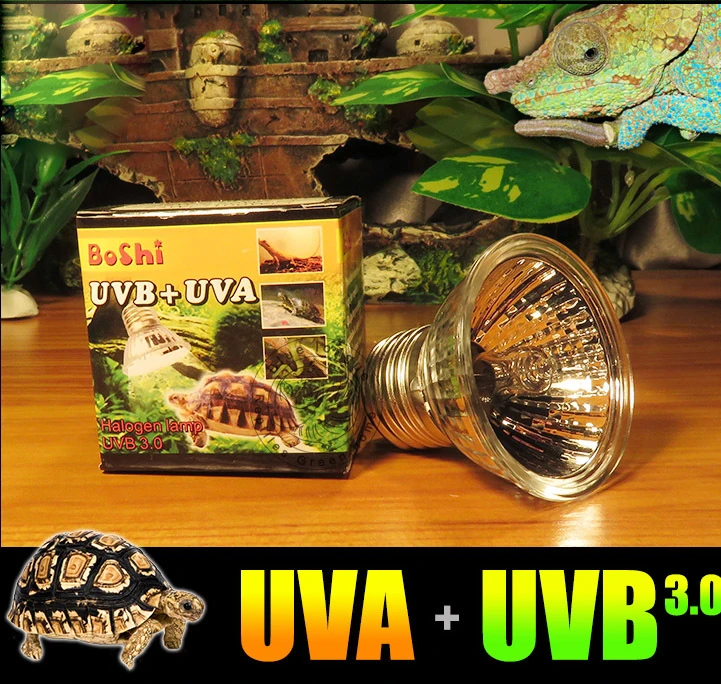 White 25W Triamisu 220V UVA+UVB Reptile Lamp Bulb Turtle Basking UV Light Bulbs Heating Lamp Amphibians Lizards Temperature Controller 