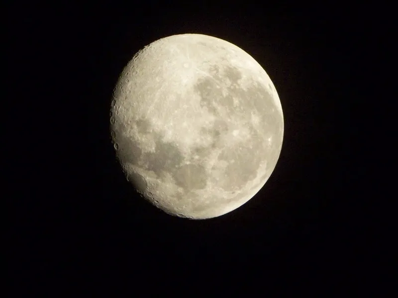 D5D5C6AC20020_1158399102