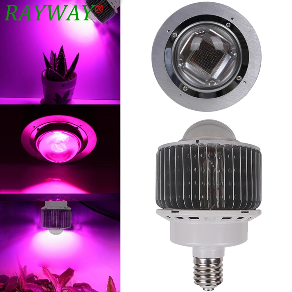 

RAYWAY New Full Spectrum LED Grow Lamp 30W 50W LED Grow Light For Indoor And Outdoor Plants And Flower With Very High Yield