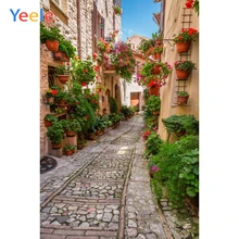 Yeele Town House Flower Stone Road Grass Holiday Trip Photography Backgrounds Customized Photographic Backdrops for Photo Studio