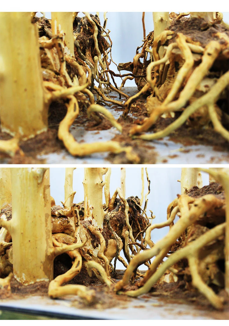 TB2VtgjbMZC2uNjSZFnXXaxZpXa_!!611006483