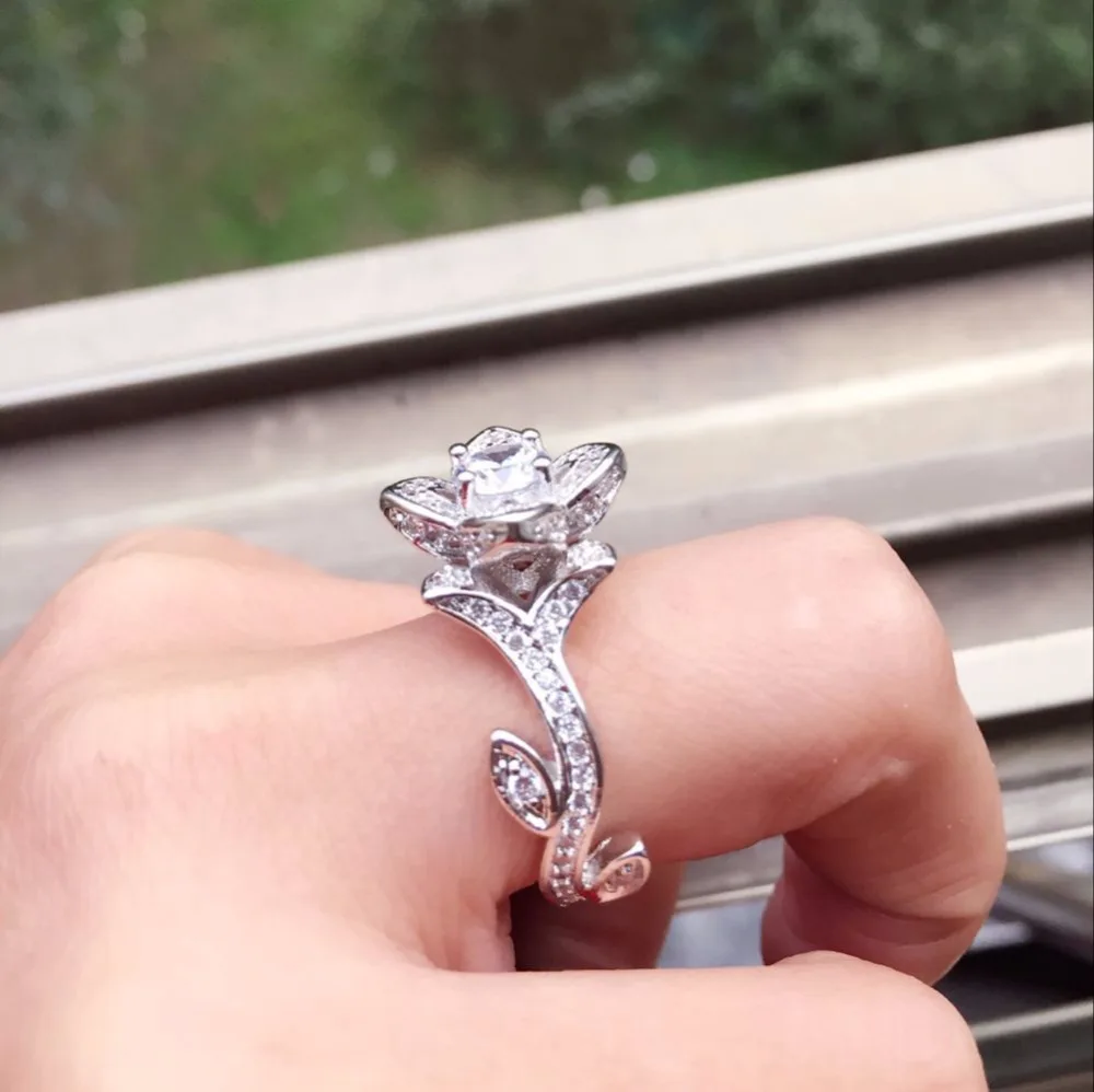 ring (13)