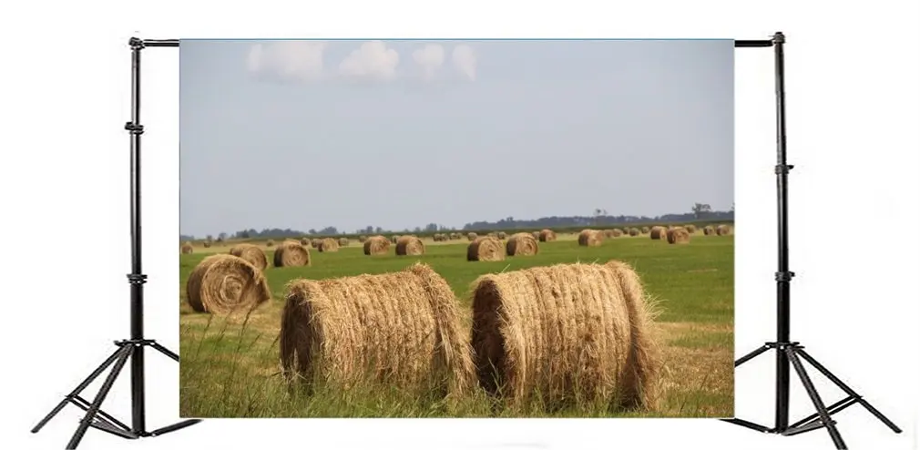 

Photography Backdrop Dry Rural Field with Hay Stacks Nature Harvest Landscape