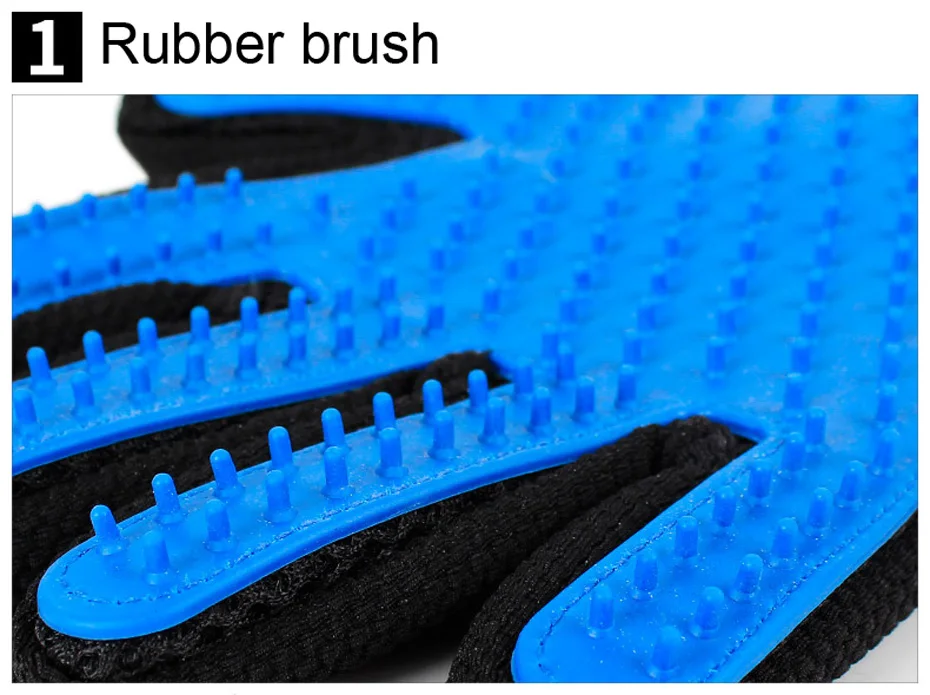4230834075_181355791