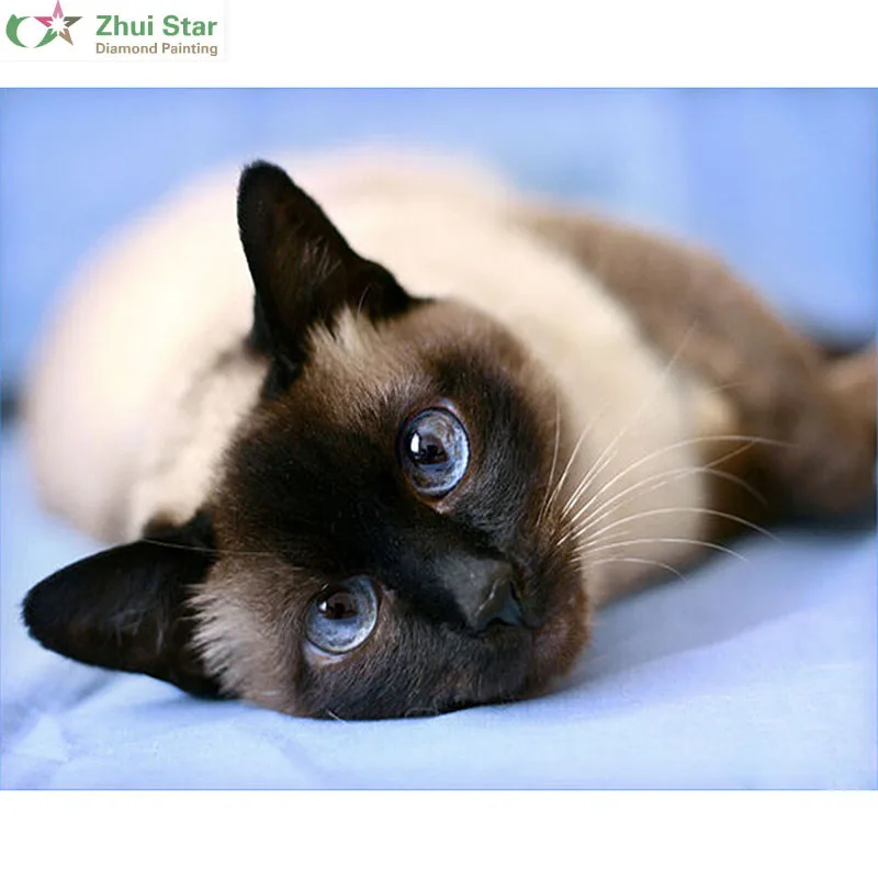 

Full Diamond Embroidery cross Stitch Handicrafts Siamese cat unfinished Indoor Decor diy 3D mosaic Diamond painting