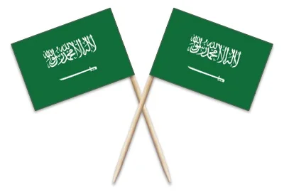 

Mini 50Pcs Saudi Arabia Toothpick Flag For Food Picks Dinner Cake Toothpicks Toppers Cupcake Decoration Fruit Cocktail Sticks