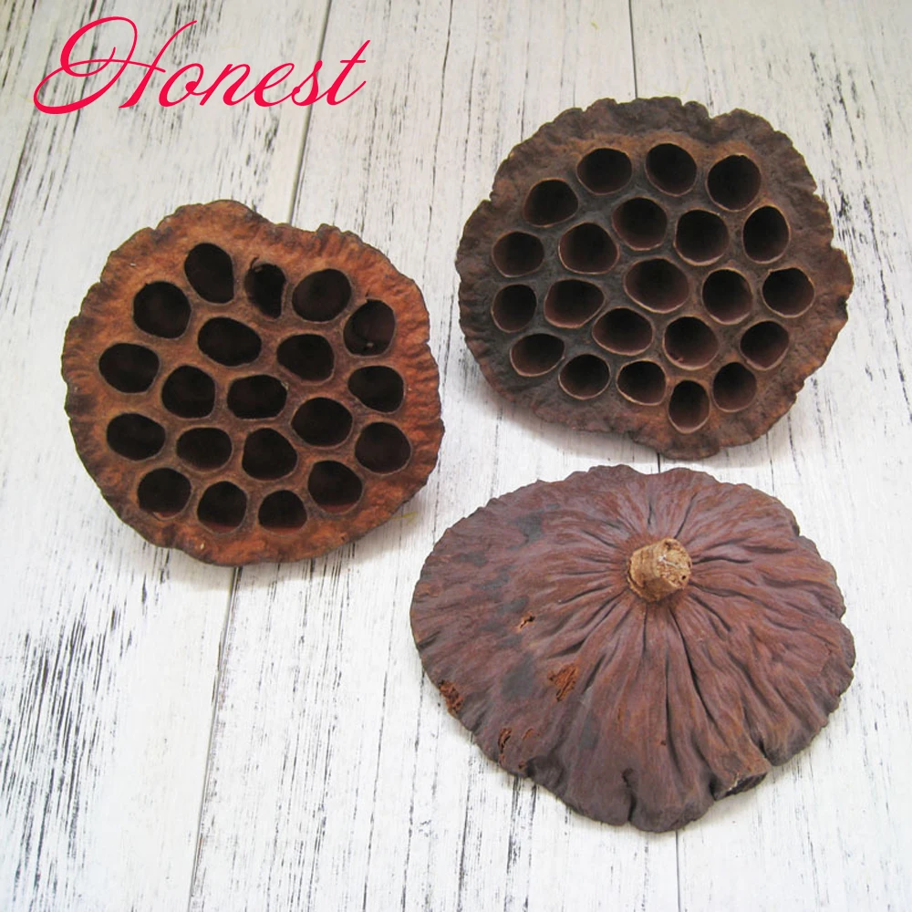 

30pcs natural dired lotus seedpod&seedpod of the lotus