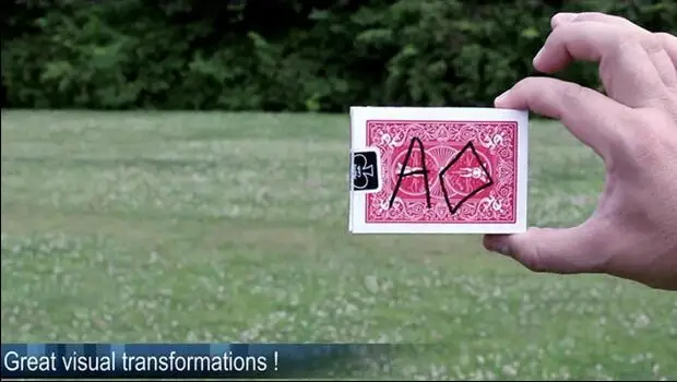 Custom Tease Instructor Cards