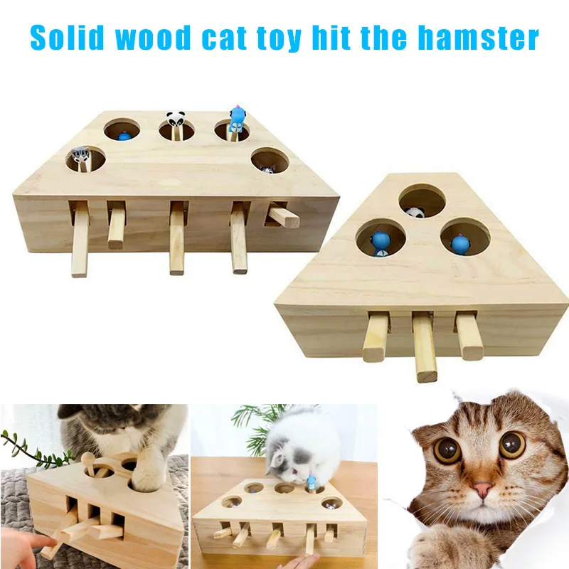 cat exercise toys