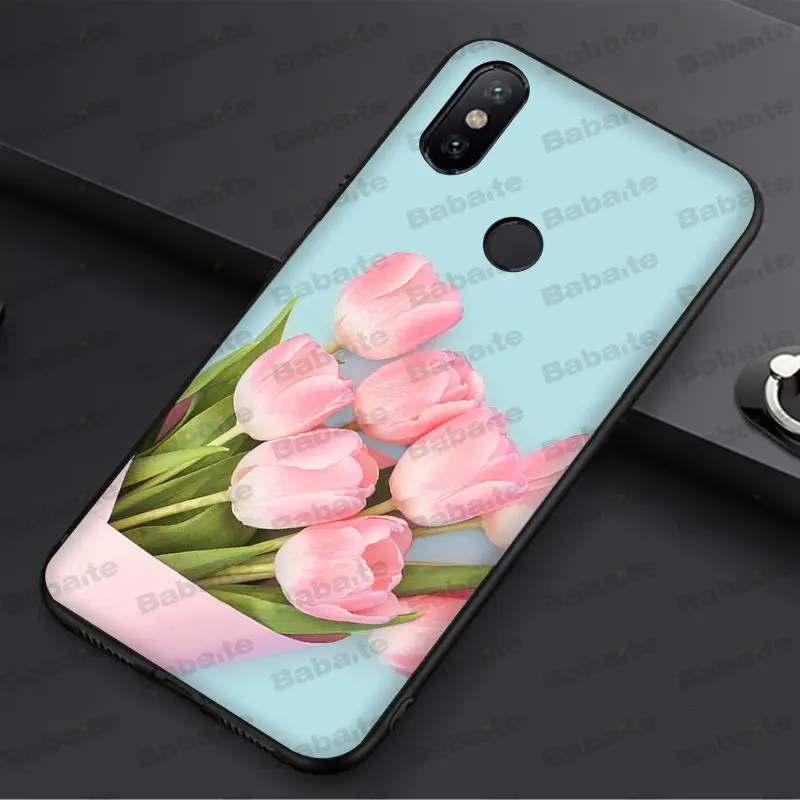 tulip flower 