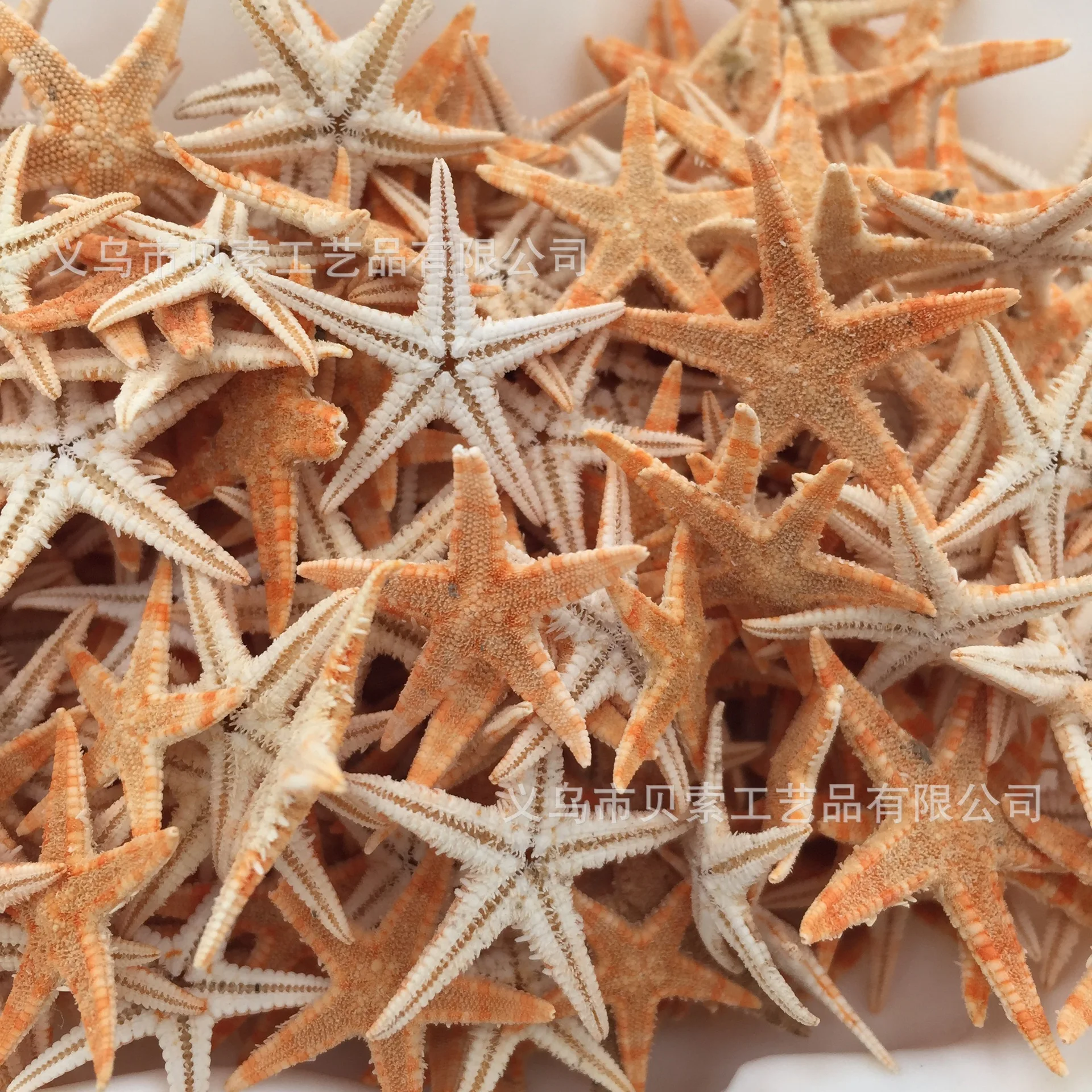 

100pcs Mini Starfish Craft Decoration Natural Sea Stars DIY Beach Cottage Wedding Decor Size:1-5cm Crafts Wedding Natural