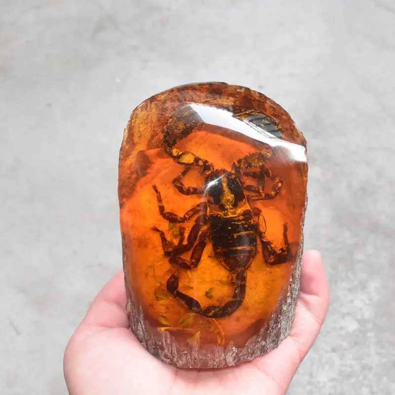 

Chinese Collectible Amber Inner Inlay Scorpion Rare Lucky Cone Statue Decor