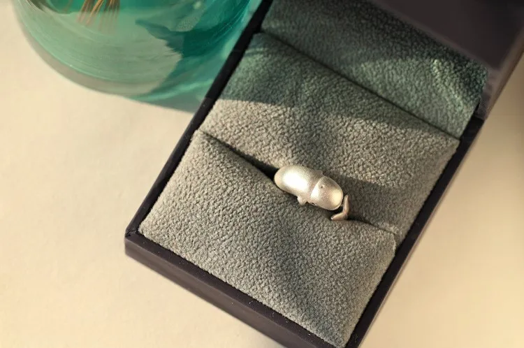 10188254719_1966409281