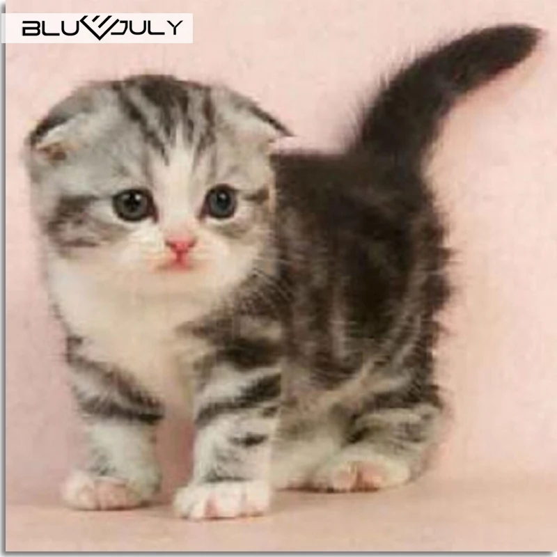 

Cat diamond embroidery animals diamond mosaic full gear picture of rhinestones full rhinestone square layout 5D diamond painting