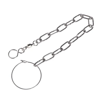 

New Arrival Parrot Foot Chain Stainless Steel Ankle Foot Ring Stand Accessories