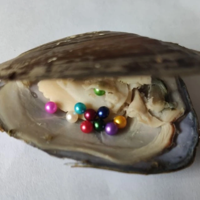 Pearl in clearance a shell gift