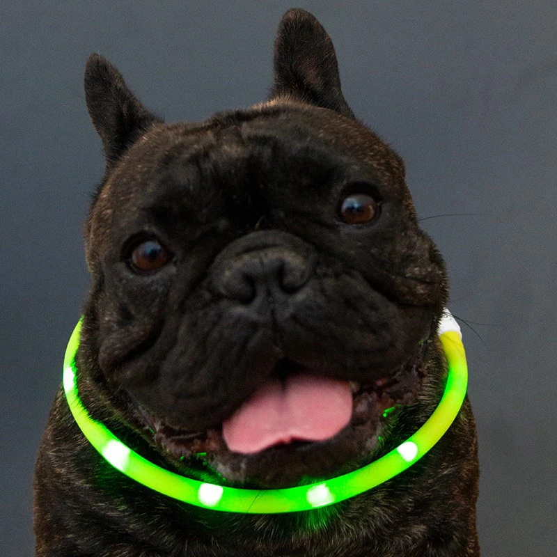 

LED Charging dog collar