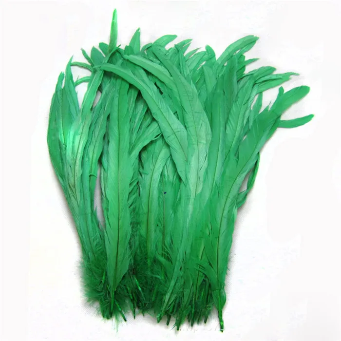 10 GREEN COCK TAIL FEATHER