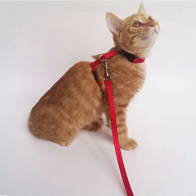 3 цвета нейлоновая кошачья шлейка и поводок для животных регулируемый поводок для животных ремень для тяги кота котенка ошейник на бретельках 259qe