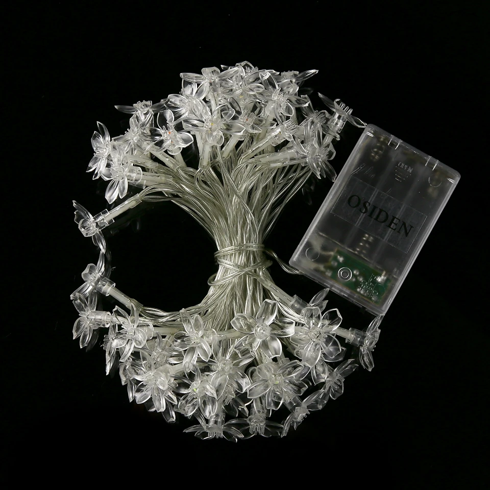 3 (4)