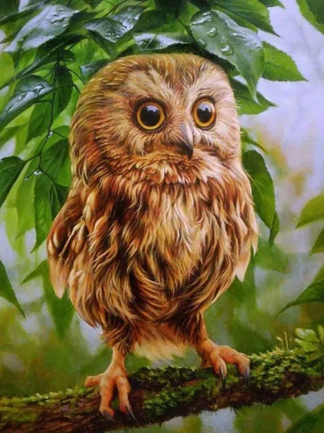 HOMFUN-Full-Square-Round-Drill-5D-DIY-Diamond-Painting-Cartoon-animal-owl-3D-Embroidery-Cross-Stitch.jpg_640x640 (5)
