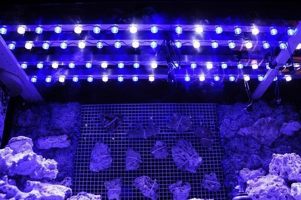 HTB1ztRBHXXXXXXBapXXq6xXFXXXZ