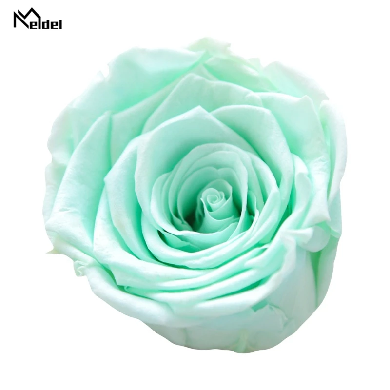 Консервированные Розы 5 6 см класса А красота и чудовище Forever Rose Eternelle для подарка