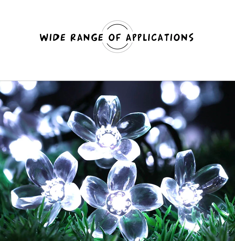 solar strings light (9)