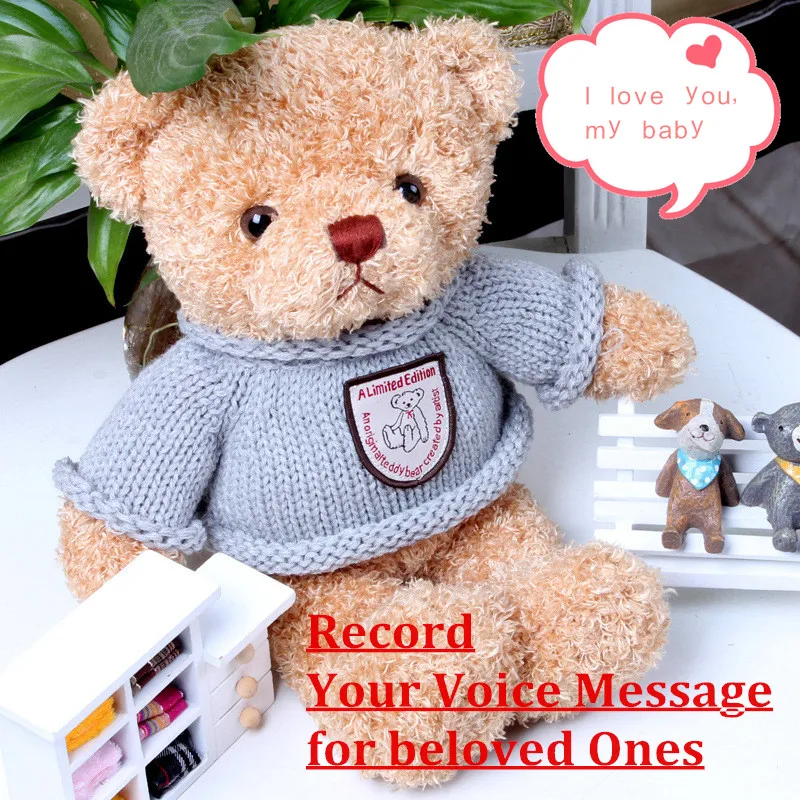 

Record & Speak Talking Teddy Bear with 30 Second Audio Memory Storage Personalized Plush Stuffed Toy Baby & Growups Playmate