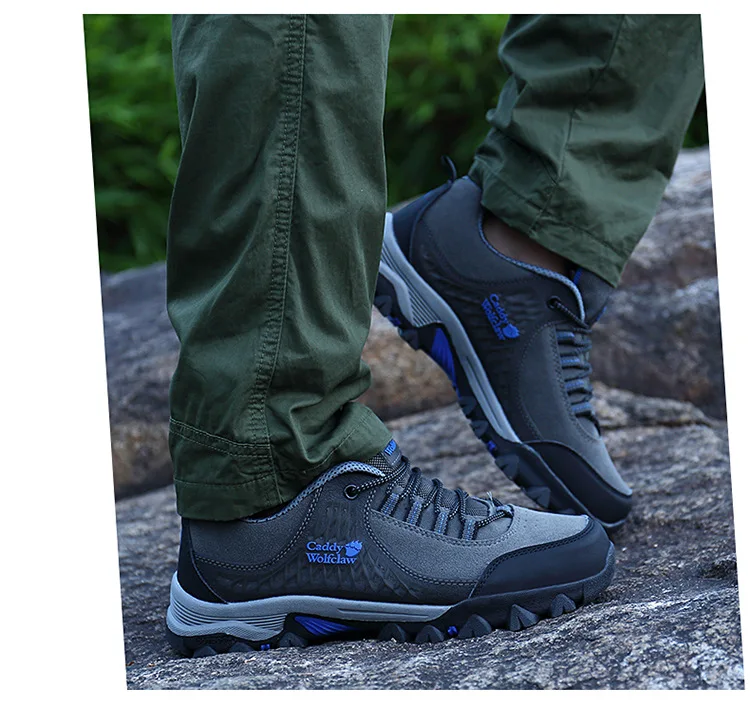 9102448137_200365450