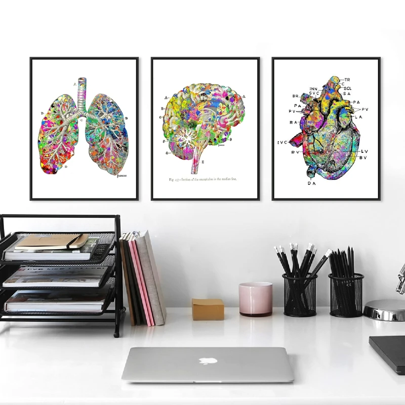 

Watercolor Medical Wall Art Prints And Poster , Lung Brain Heart Anatomy Canvas Painting Wall Pictures Doctor's Office Decor