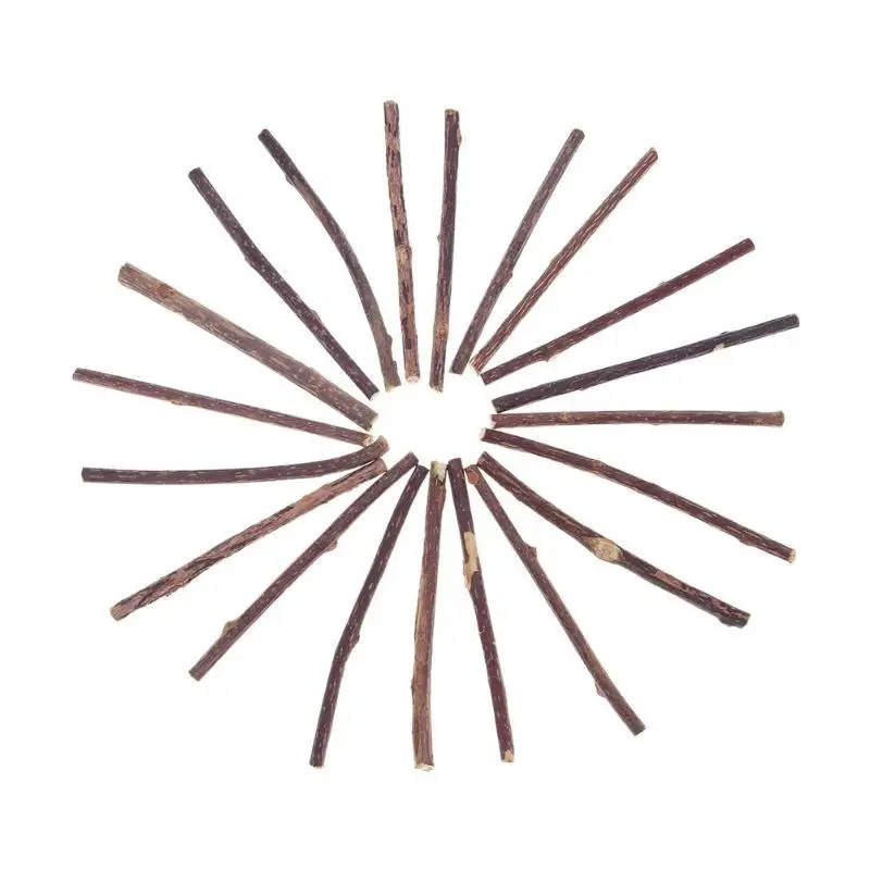 

15/20pcs Natural Fruit Matatabi Cat Snacks Sticks Catnip Pet Cat Molar Rod Cat Cleaning Teeth Toothpaste Stick