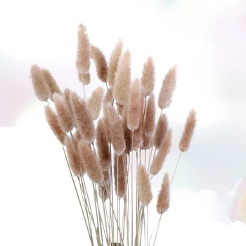 

15pcs Rabbit Tail Hay Dried Flowers Dried Grass Pennisetum Rabbit Tail Hay Bunny Tail Natural Plants Decorative Dried Flowers