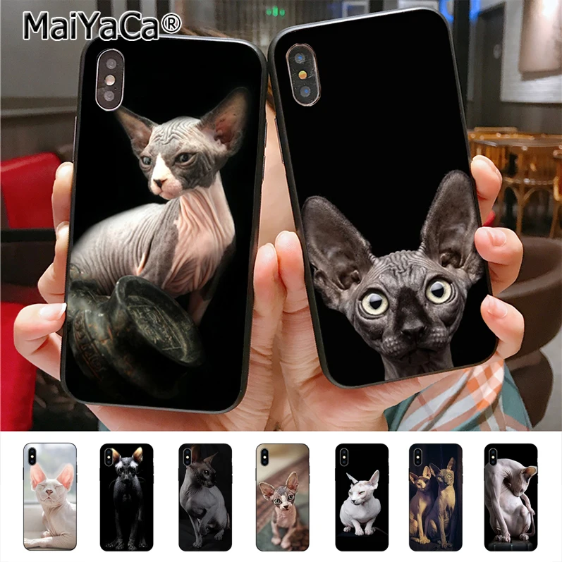 Уникальный силиконовый чехол для телефона MaiYaCa sphynx cat для iphone 11 Pro 6S 6plus 7 7plus 8 8Plus X 5 5S чехол