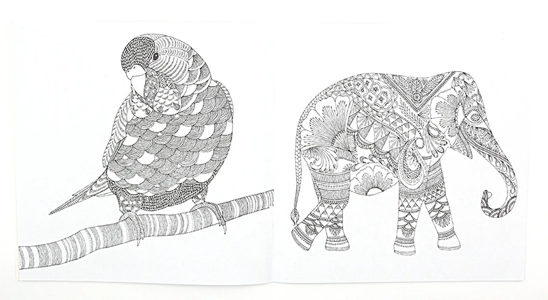 1 PCS 24 Pages Animal Kingdom English Edition Coloring Book For Children Adult Relieve Stress Kill Time Painting Drawing Book 1 PCS 24 Pages Animal Kingdom English Edition Coloring Book For Children Adult Relieve Stress Kill Time Painting Drawing Book